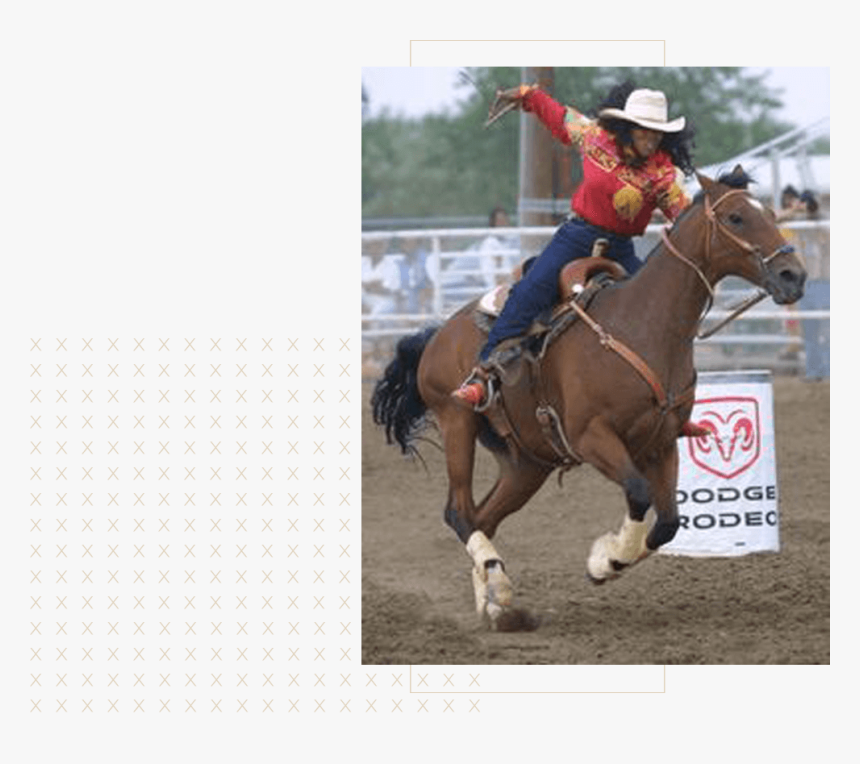 Mane, HD Png Download