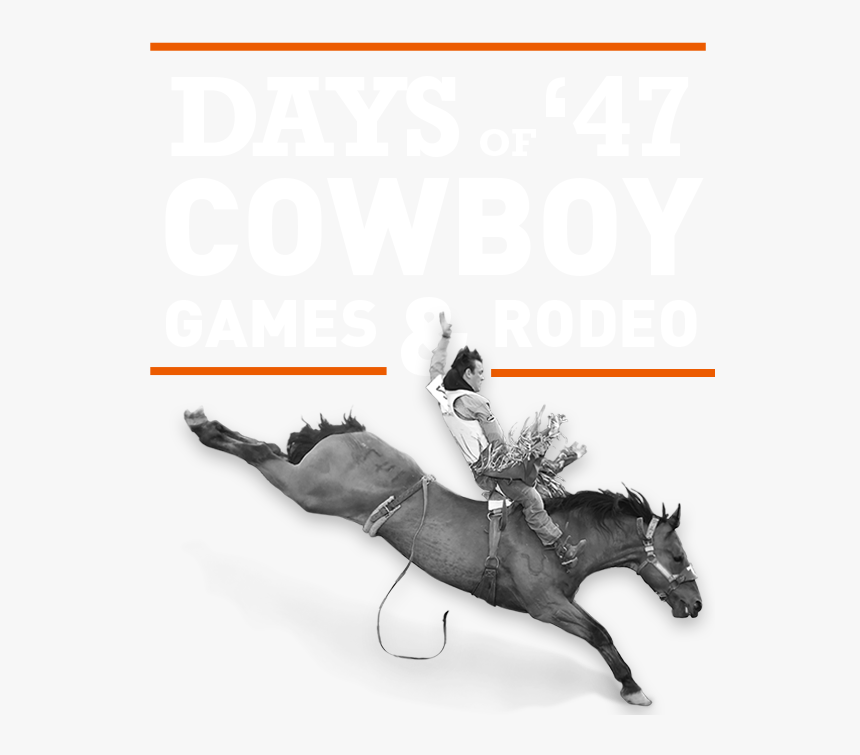 Stallion, HD Png Download
