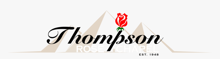 Transparent Moño Rosa Png - Research, Png Download