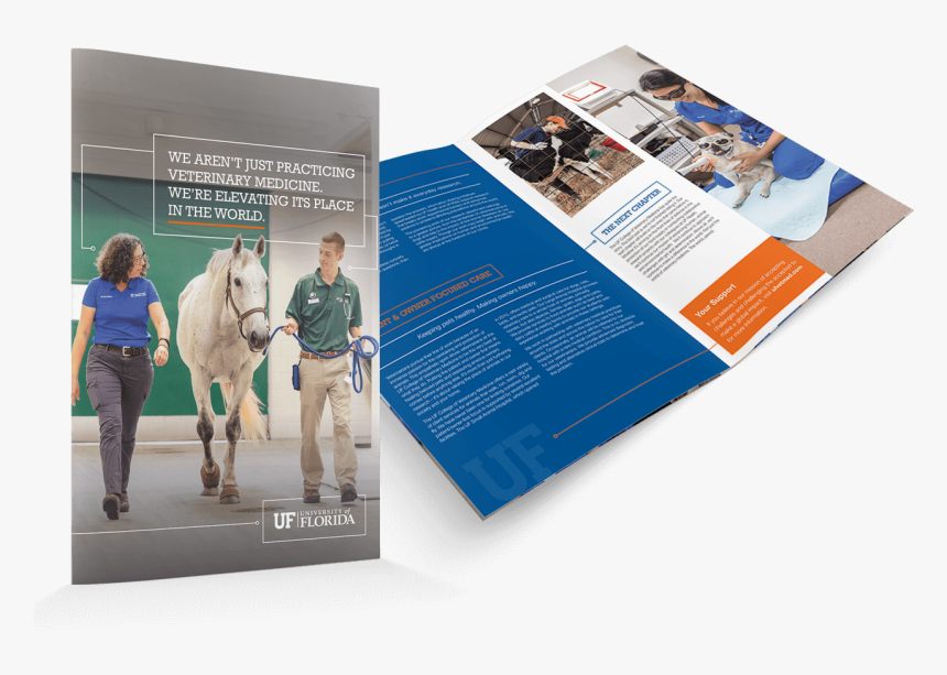 Brochure, HD Png Download
