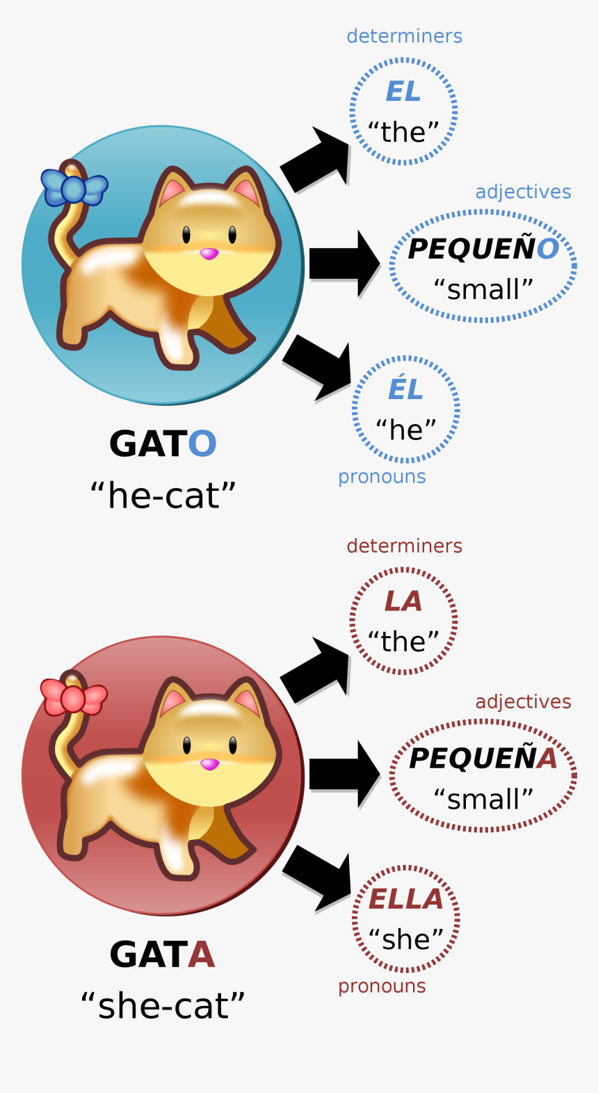 Grammatical Gender, HD Png Download