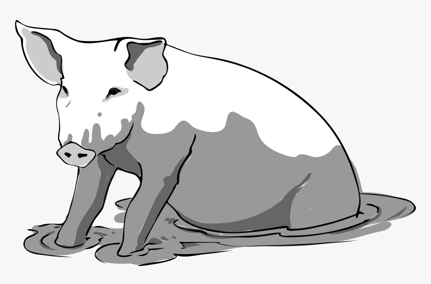 Drawings Of Pigs In Mud, HD Png Download