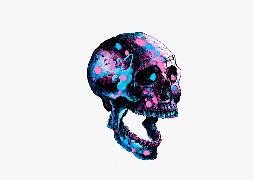 Skull Painting - Skull, HD Png Download