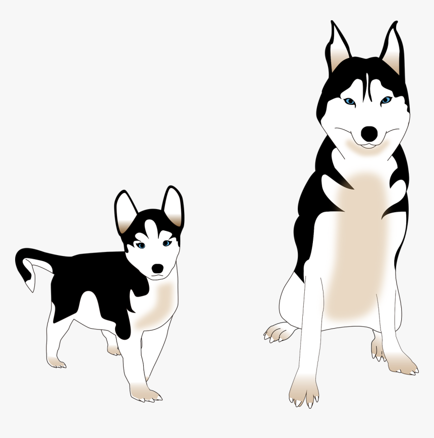 Husky Siberiano Vector Png, Transparent Png