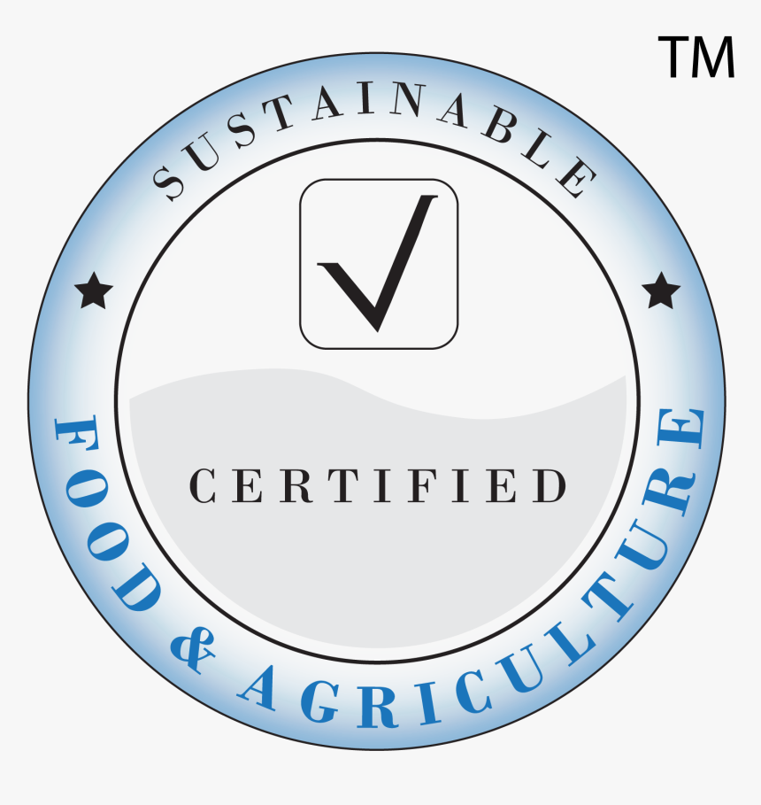 El Vendrell, HD Png Download