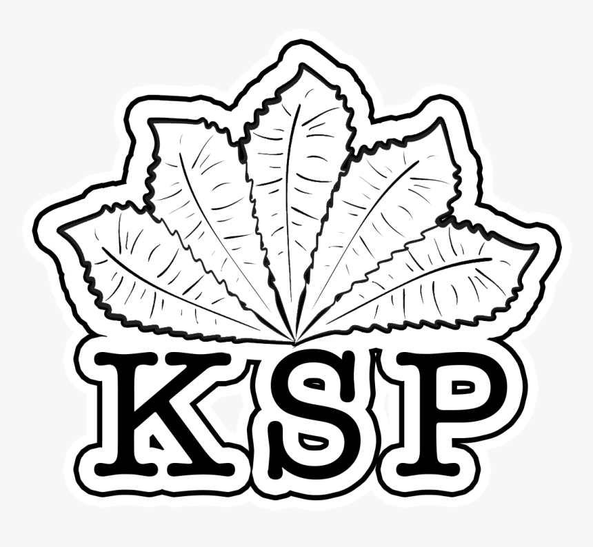 Drew Drawing Brees - Kevin Scampoli Productions, HD Png Download