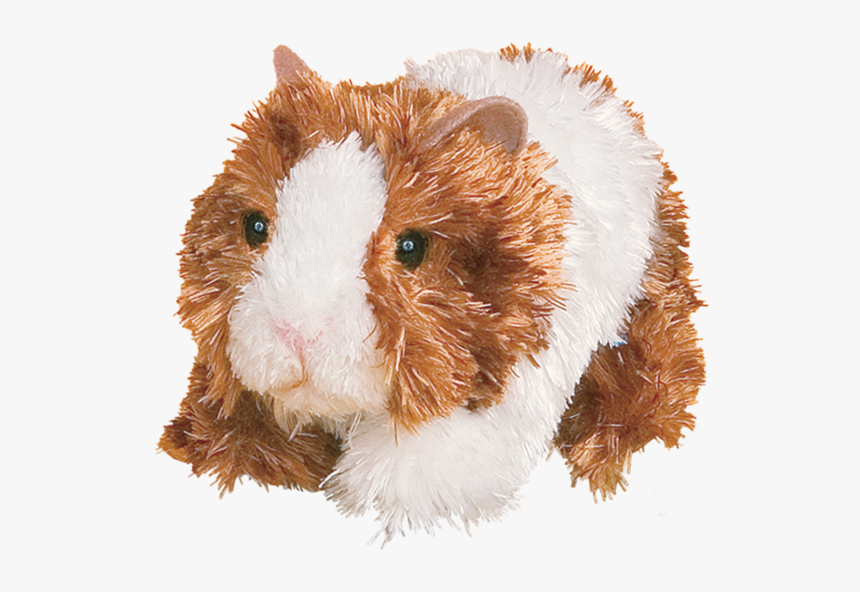 Guinea Pig, HD Png Download