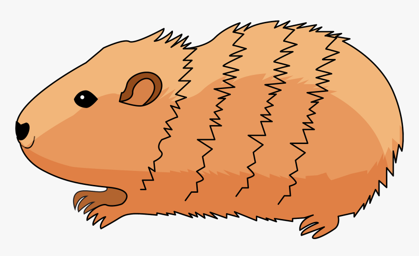 Rat, HD Png Download