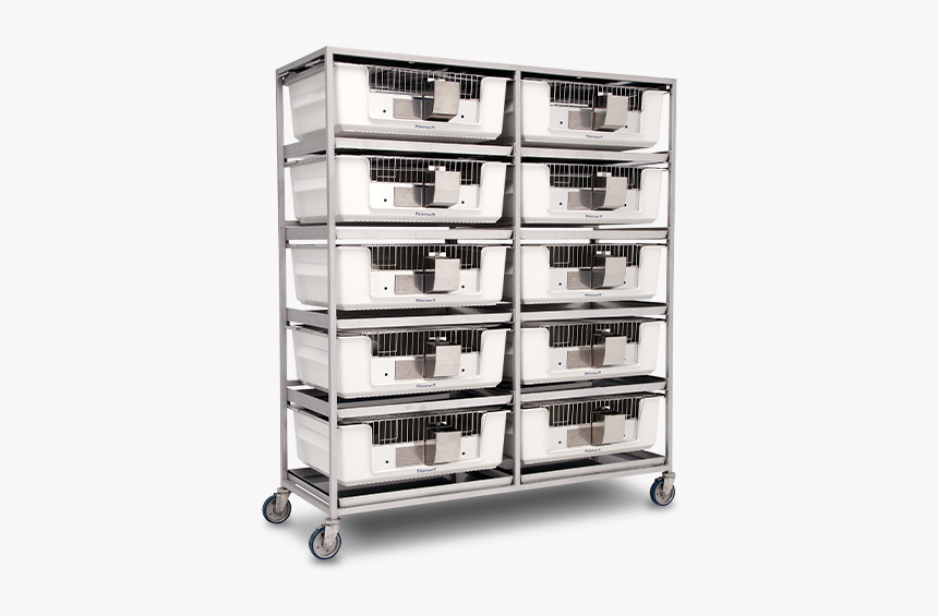 Allentwon Cages For Guinea Pigs, HD Png Download