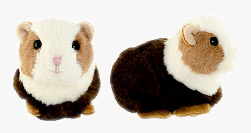 The Guinea Pig Flower Shop Studio Flores - Bukowski Piggy, HD Png Download