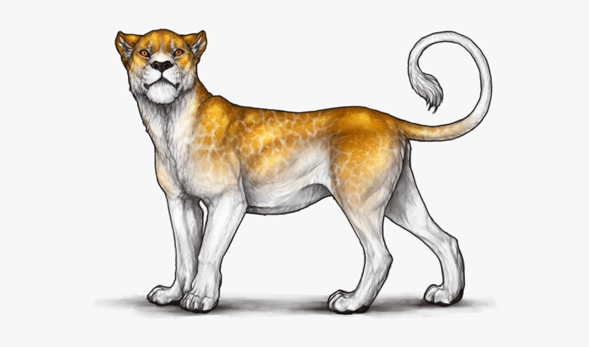 Lion Markings, HD Png Download