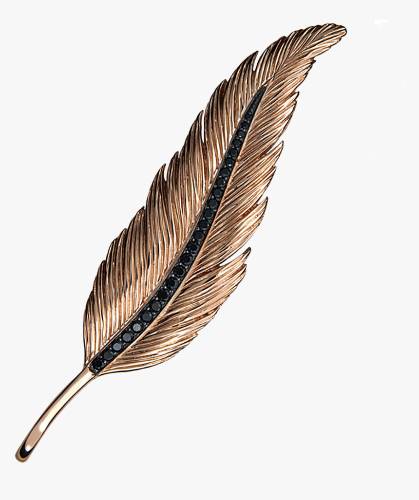 Transparent Plumas Png - Shadow, Png Download