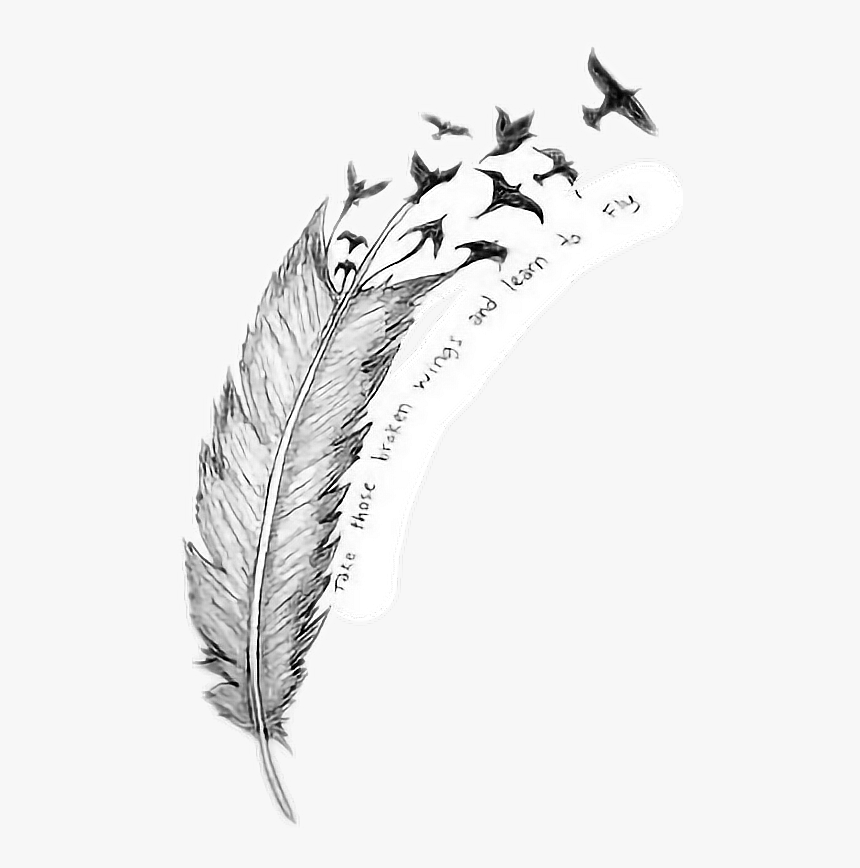 # Pluma #aves #tumblr - Everything That's Broke Leave It To The Breeze Meaning, HD Png Download