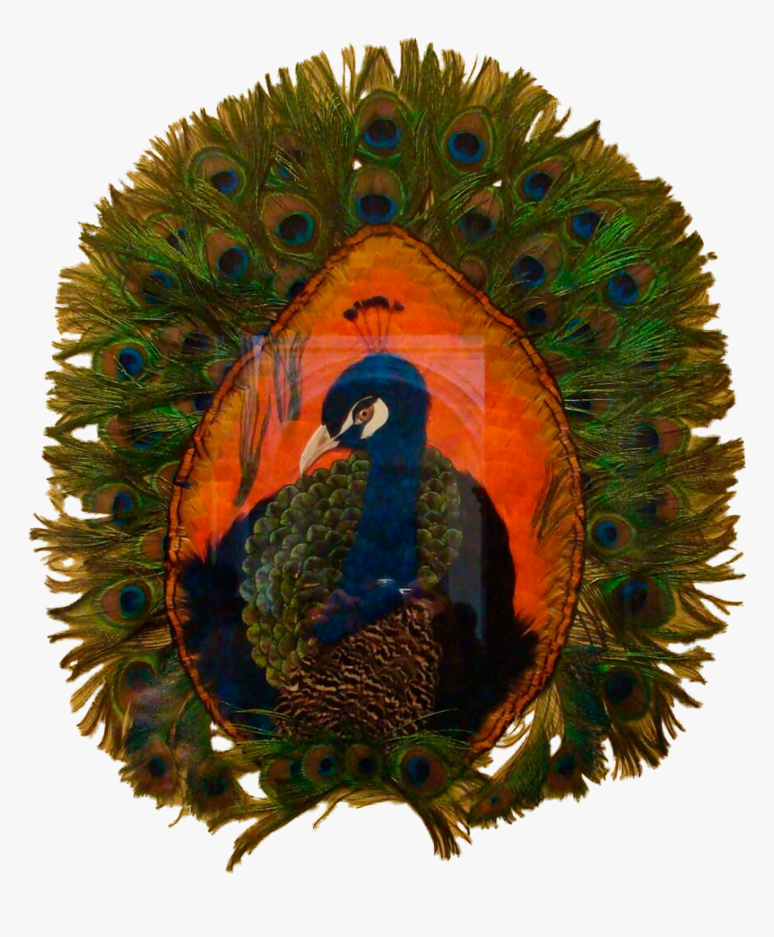 Feather Art - Peafowl, HD Png Download