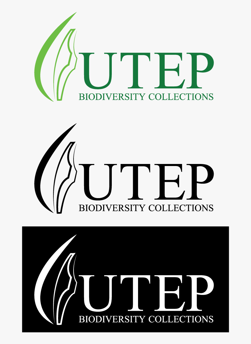 Dmci 60 Years, HD Png Download