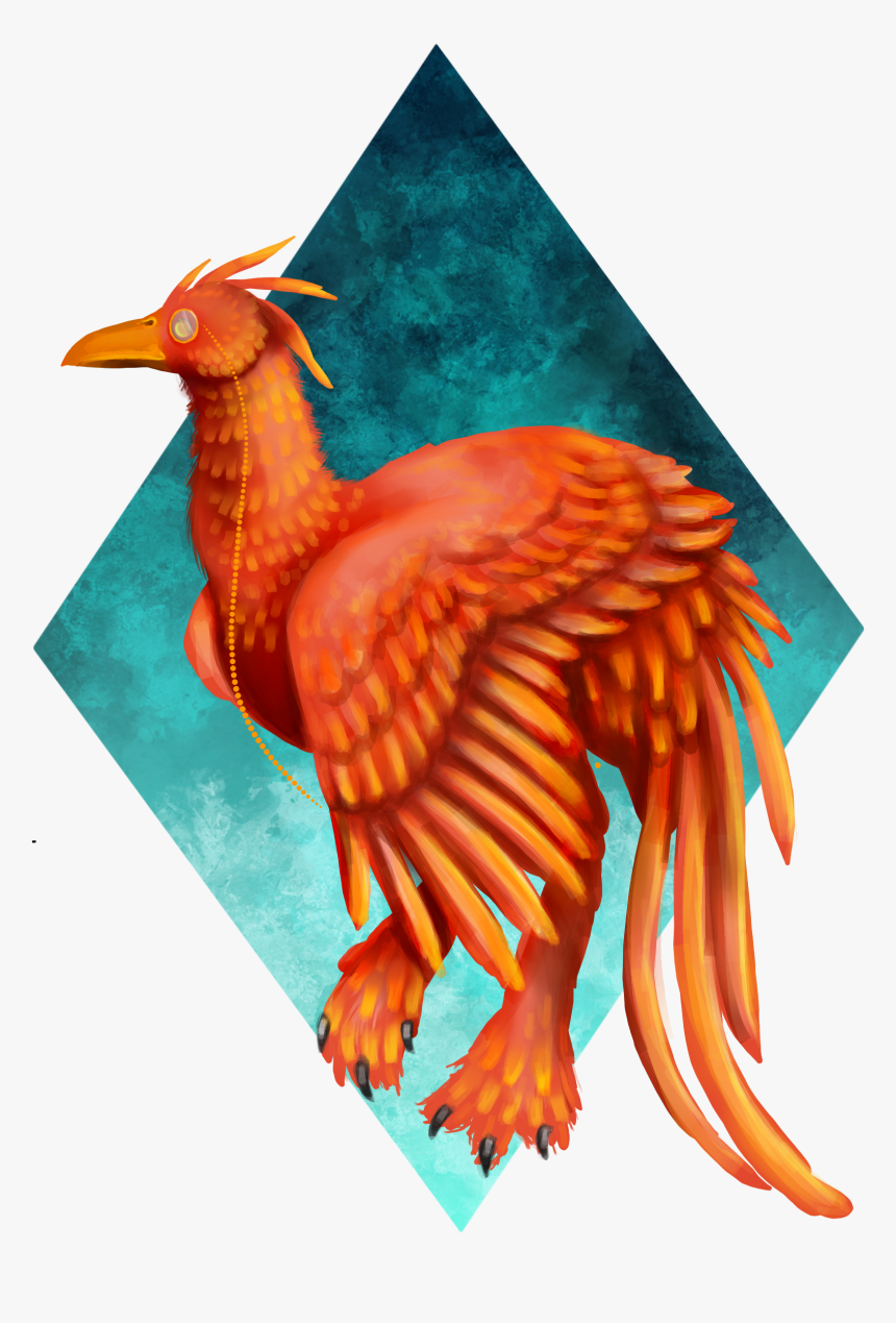 Phasianidae, HD Png Download