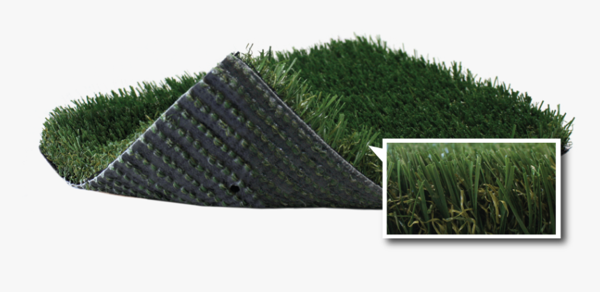 Best In Show - Artificial Turf, HD Png Download