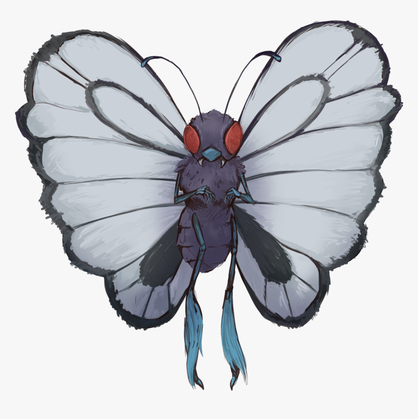 Butterfly, HD Png Download