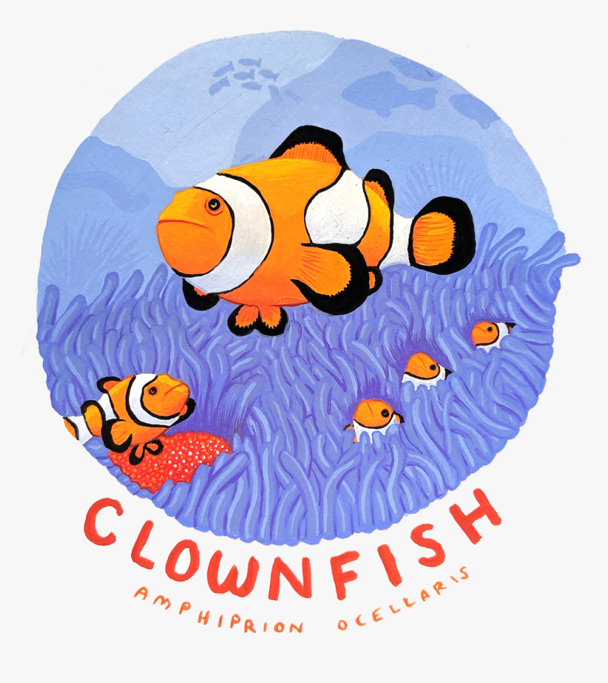 Clip Art, HD Png Download