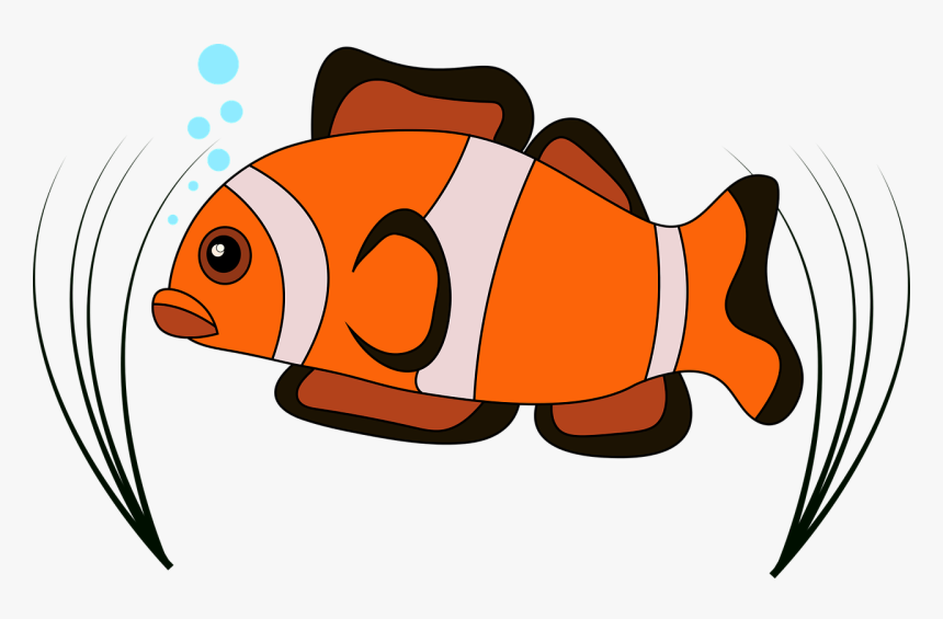 Clown Fish Vector Clown Free Photo - ปลา การ์ตูน Png, Transparent Png