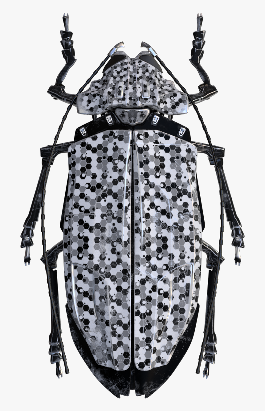 Longhorn Beetle, HD Png Download