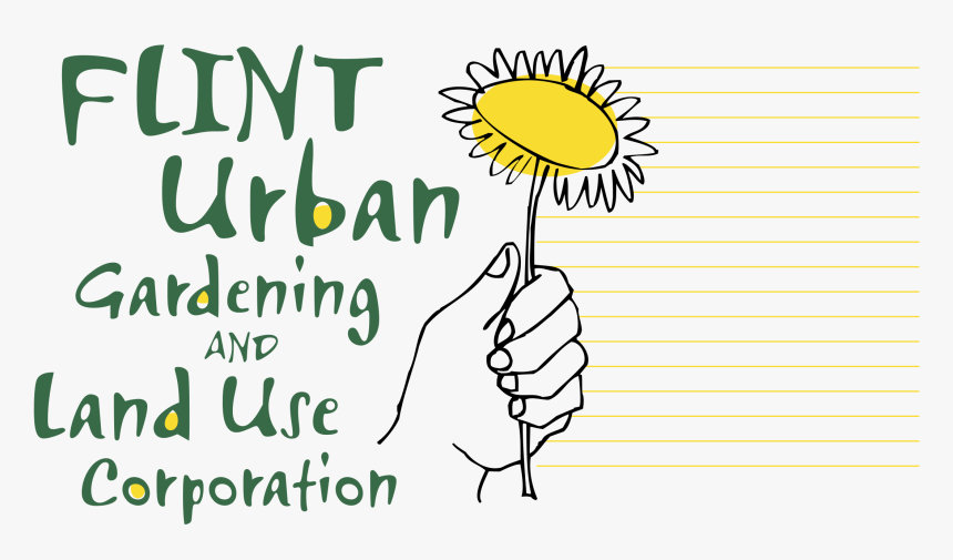 Sunflower, HD Png Download