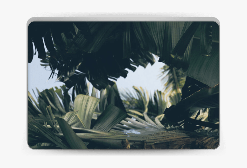 Macbook , Png Download - Architecture, Transparent Png