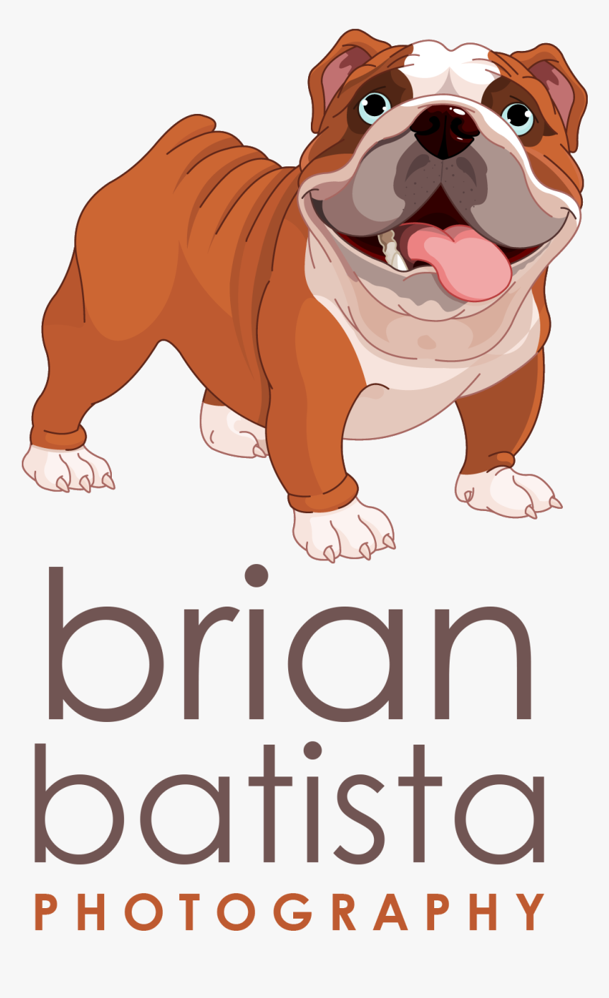 Bull Dog Clip Art, HD Png Download