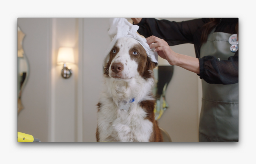 Brittany, HD Png Download