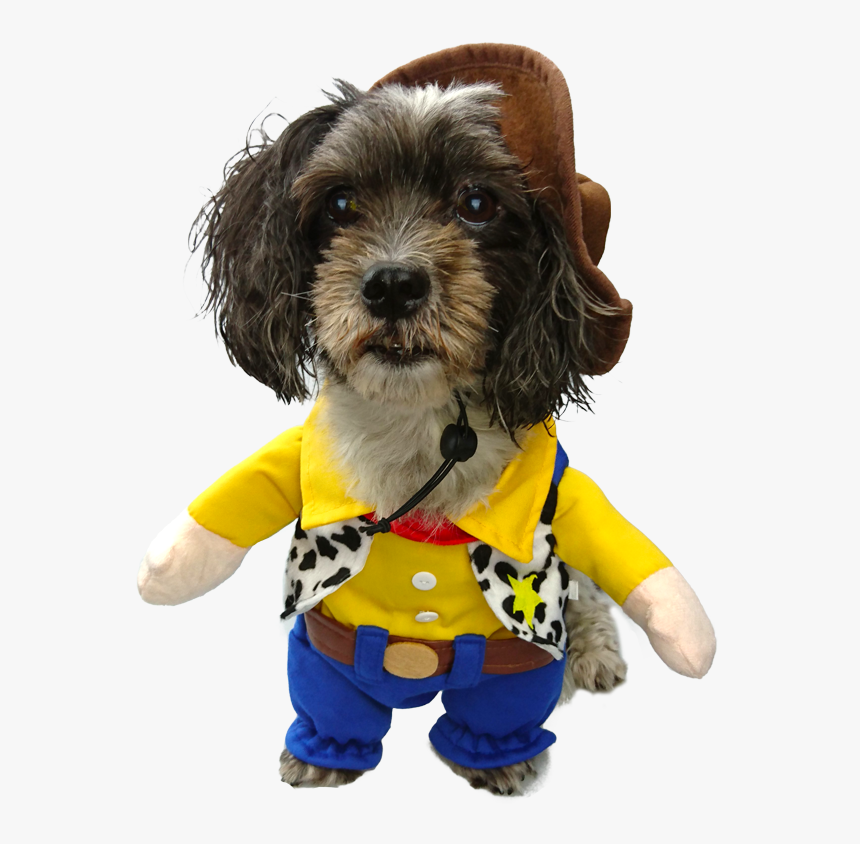 Transparent Buzz And Woody Png - Woody Costume For Dog, Png Download