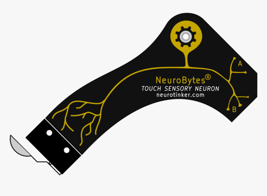 Neurobytes Touch Sensory Neuron - Mobile Phone, HD Png Download
