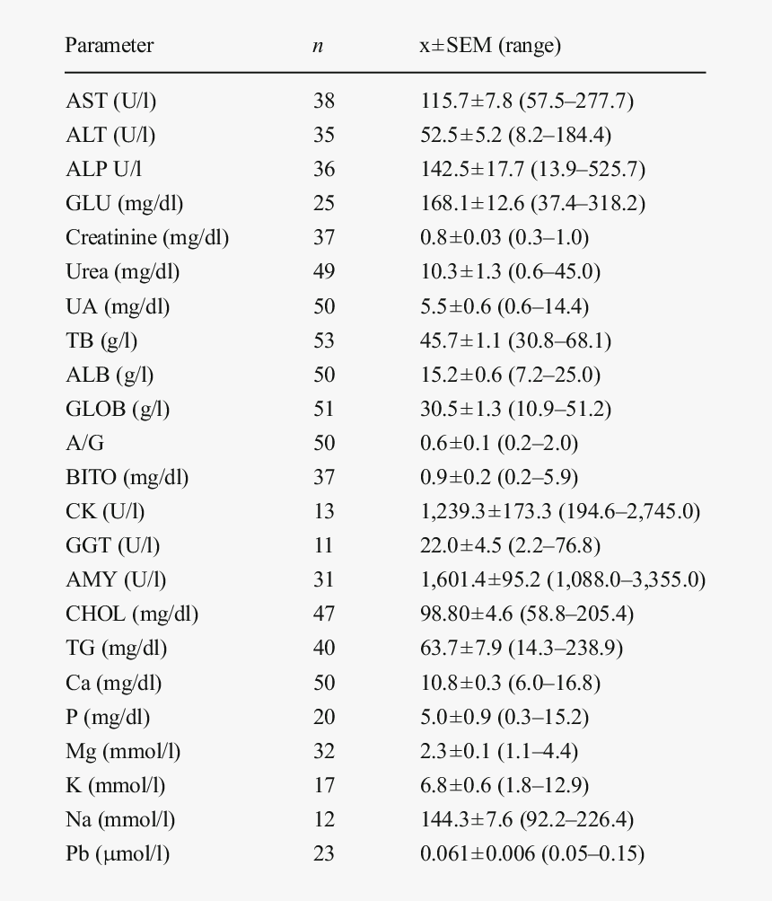 Document, HD Png Download