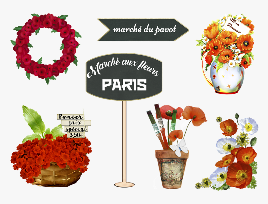 Flower, HD Png Download