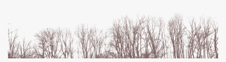 Dead Trees Png, Transparent Png