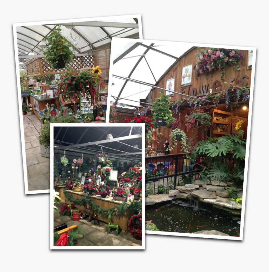 Gift Items And Much More - Greenhouse, HD Png Download