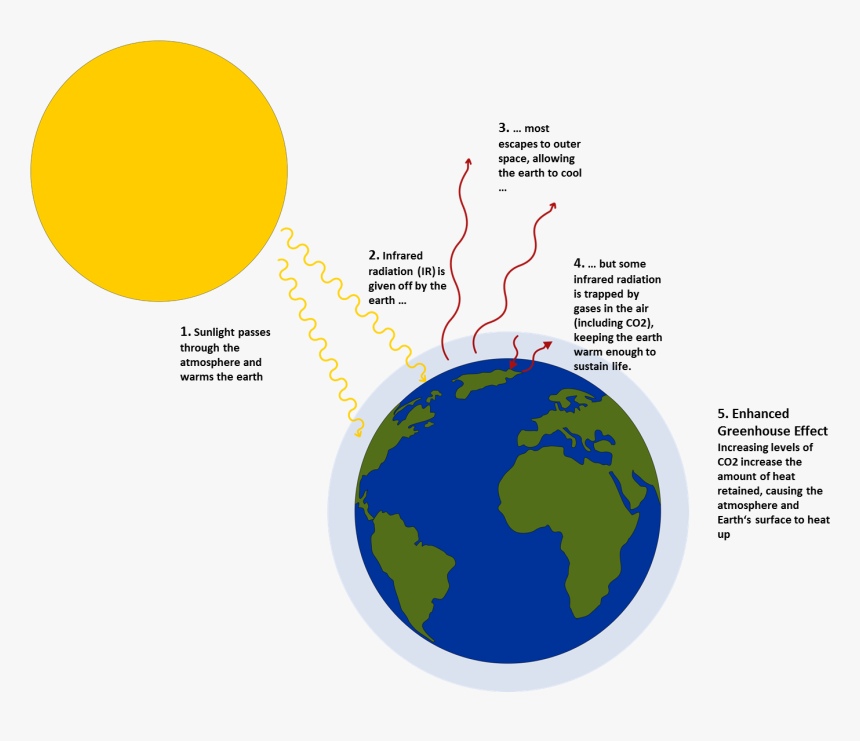 Team 14 Igem Org Clip Free Stock Greenhouse Problem Of Greenhouse Effect Hd Png Download Transparent Png Image Pngitem