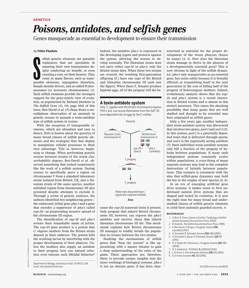 Discovery Of Achilles On Skyros, HD Png Download