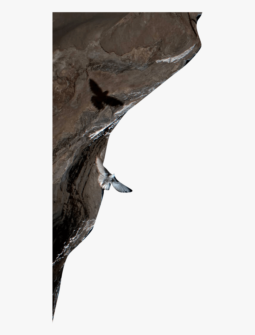 Rock Climbing, HD Png Download