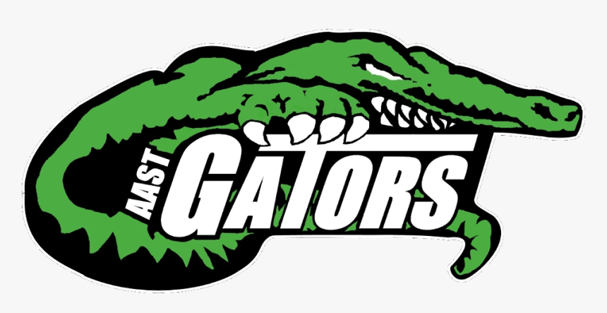 Aligator project bounce 2