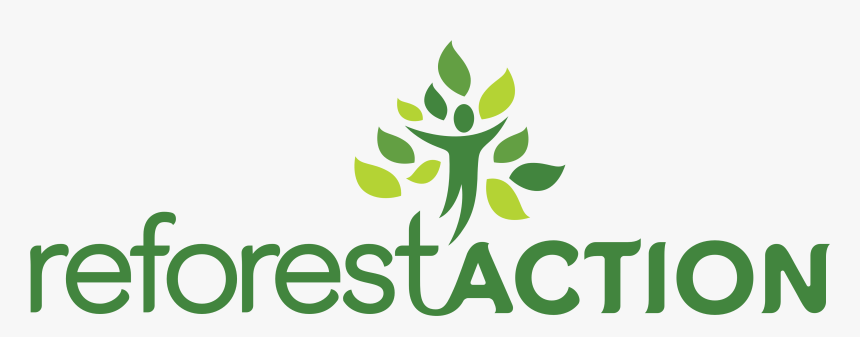 Reforestaction - Forest, HD Png Download