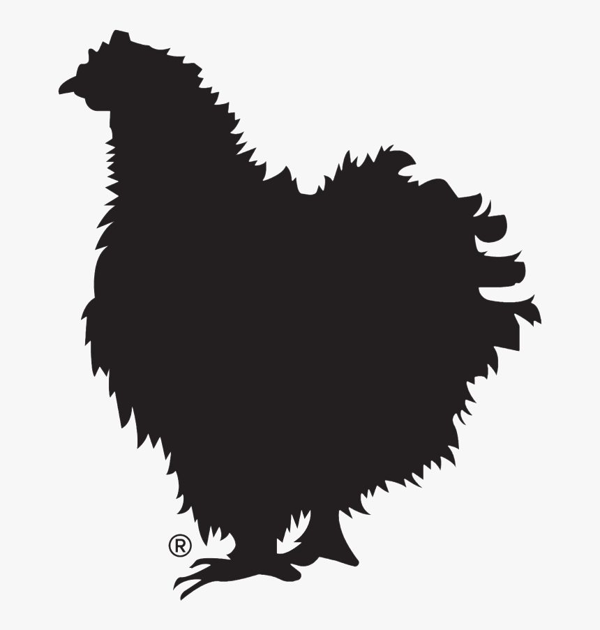 Chicken, HD Png Download