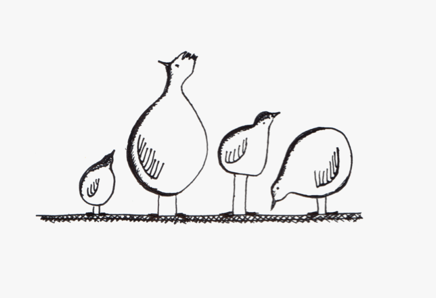 Chickens, HD Png Download