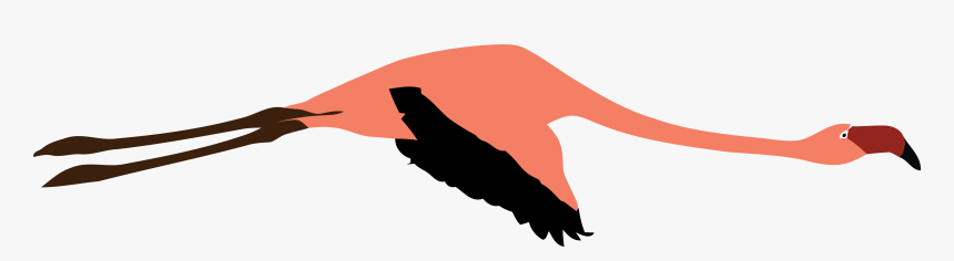 Flamingo Clipart Flying - Illustration, HD Png Download