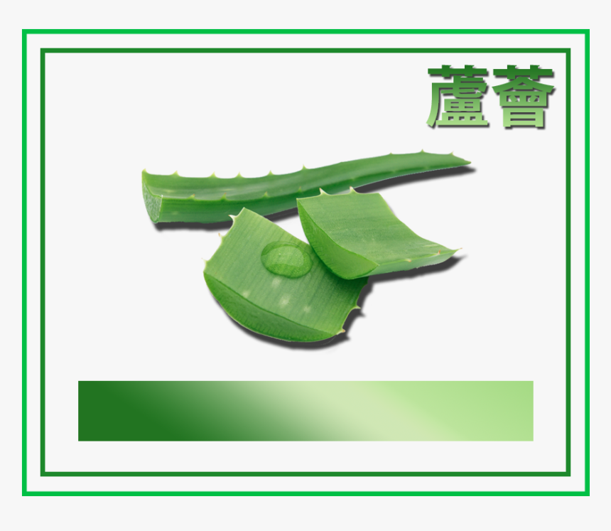 Aloe Vera Juice Bs Aloe Vera Gel, HD Png Download