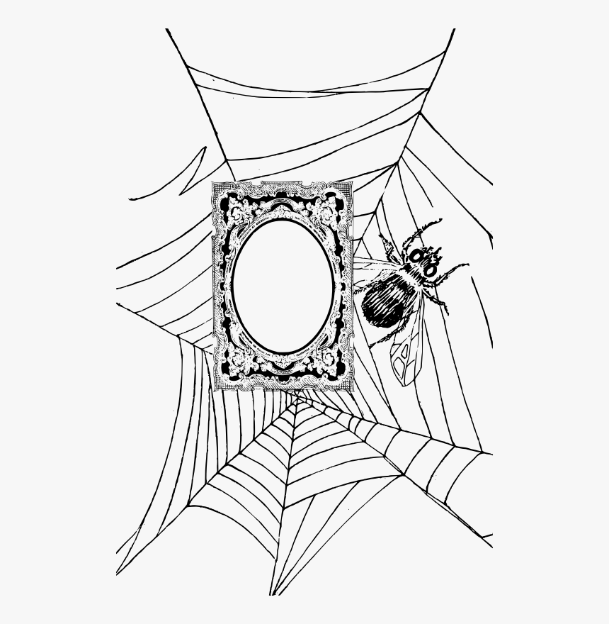 Spiderweb Frame - Spider, HD Png Download