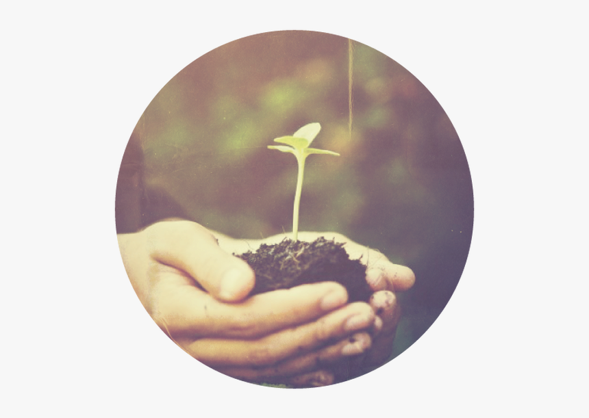 Niềm Tin Hy Vọng, HD Png Download