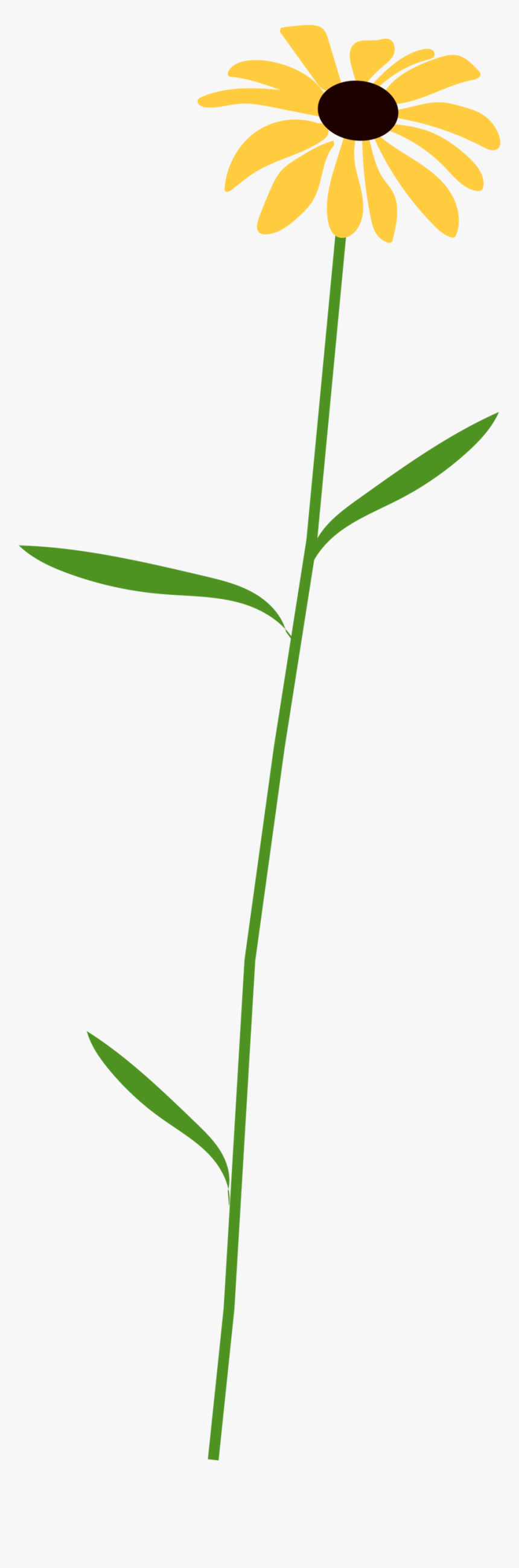 Flower 4, HD Png Download