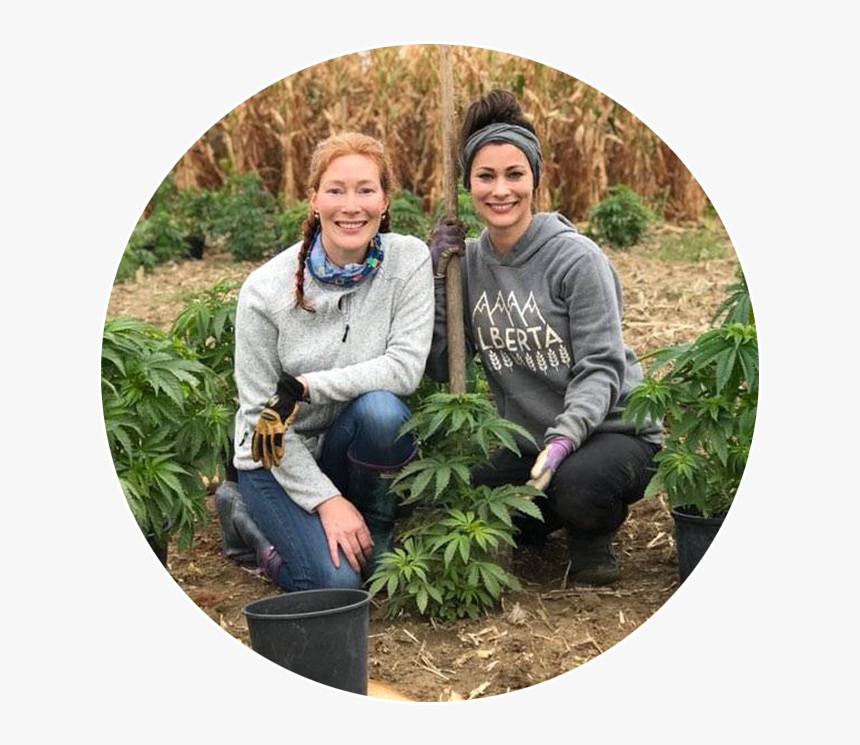 Transparent Plantation Clipart - Mulch, HD Png Download