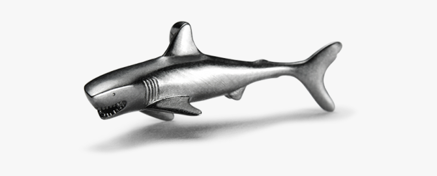 Bronze Hammerhead Shark, HD Png Download
