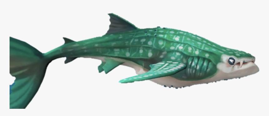 Level 0 Picture1 Copy - Drawing Hungry Shark World Whale Shark, HD Png Download